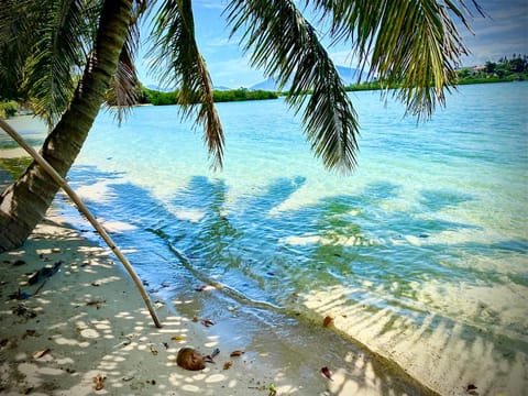 Garden, Beach