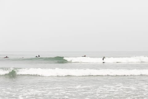 Natural landscape, Activities, Beach