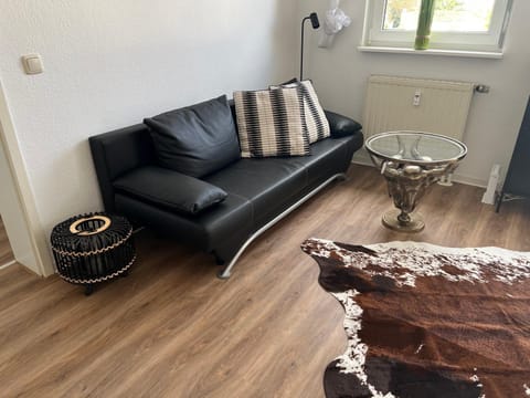 Stylische Ferienwohnung gratis WIFI nähe Bahnhof Apartment in Zwickau