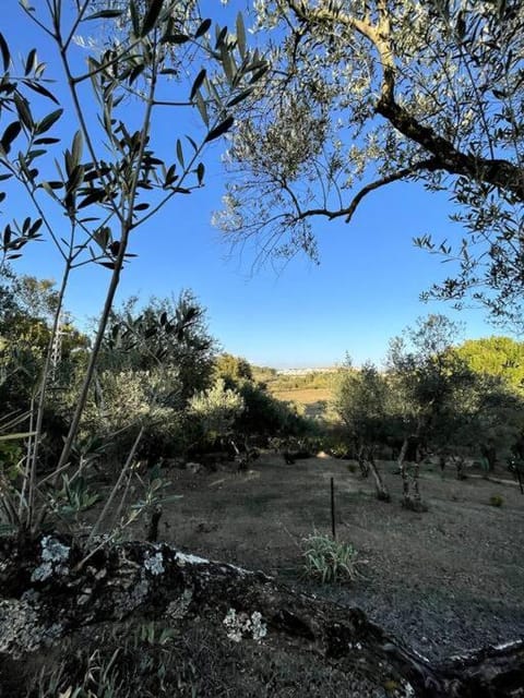 Villa María, casa rural en Cazalla de la Sierra. Apartment in Sierra Norte de Sevilla