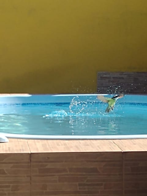 Casa aconchegante com piscina e churrasqueira House in Cabo Frio