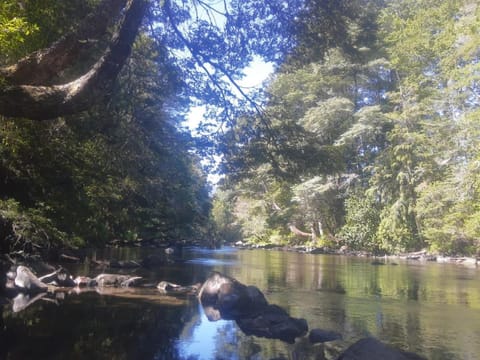 Natural landscape, Beach, River view