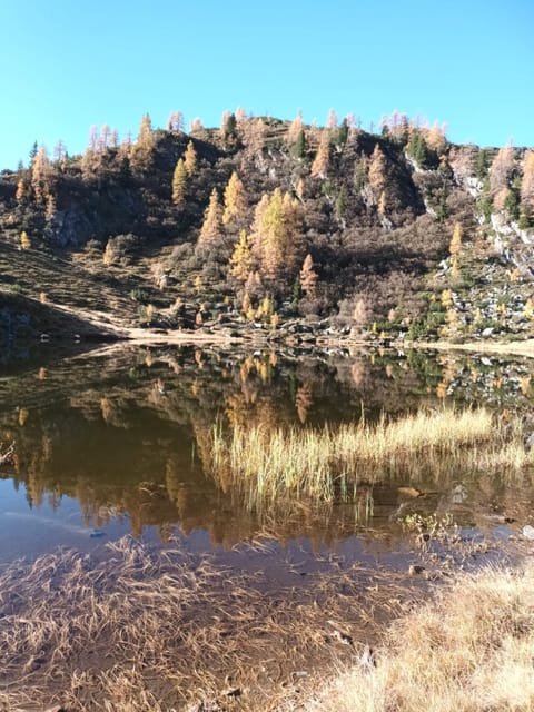 Lake view