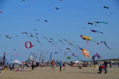 Hotel Zanella Hotel in Cervia