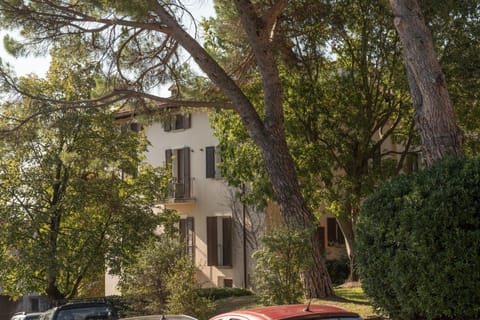 Property building, Garden view