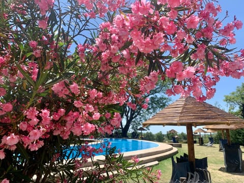 Garden view, Pool view, Swimming pool