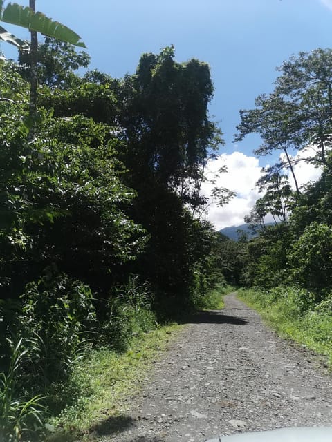 Cabaña WenDa (Hospedaje en la Montaña) Apartment in Cartago Province, Costa Rica