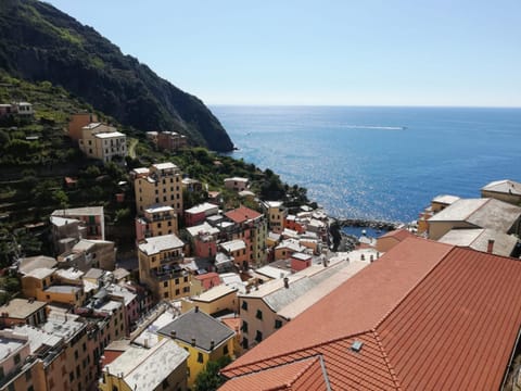 Natural landscape, City view, Sea view