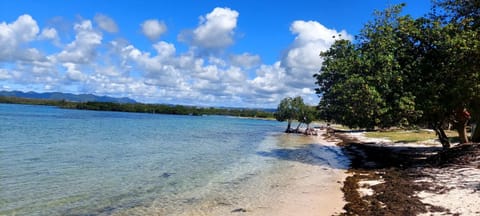 Nearby landmark, Spring, Natural landscape, Beach, Lake view, River view, Sea view