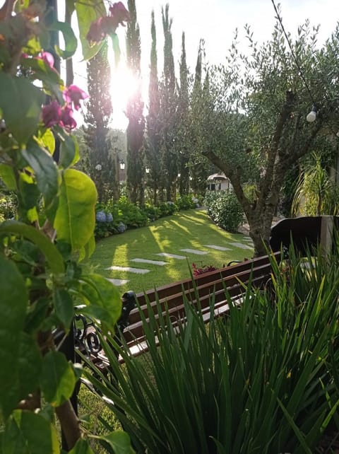 Garden, Seating area, Garden view