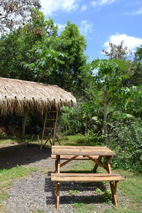 Natural landscape, Garden view