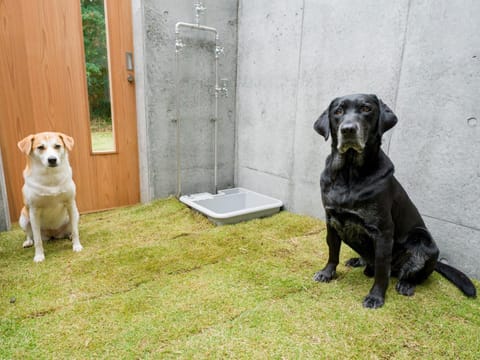 Rakuten STAY VILLA Kamogawa Building A with Pool and Terrace and sauna Capacity of 12 persons Pets allowed House in Chiba Prefecture