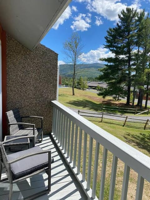 1 Mile to Hunter Mt! Cozy 3 Bedroom Apartment in Hunter