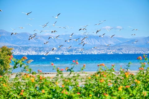 Day, Natural landscape, Beach, Sea view, Sea view