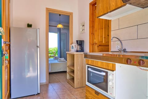 Kitchen or kitchenette, minibar, pet friendly, stove