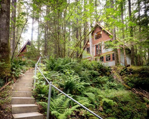 Treetop Hideaway, Sleeps 2 Casa in Glacier