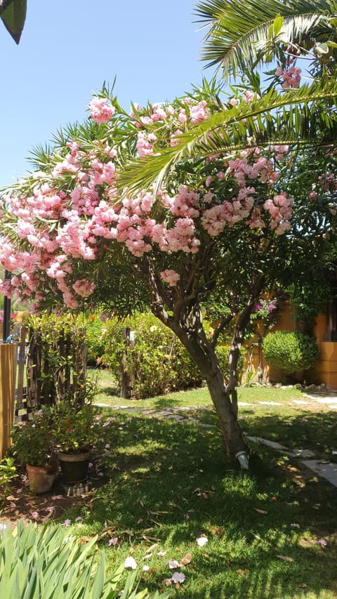 Garden, Garden view