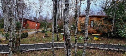 Reserva de Los Hualles House in Pucon