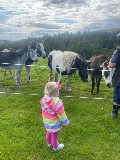 Horse-riding, Animals, children