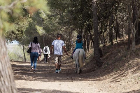 Horse-riding