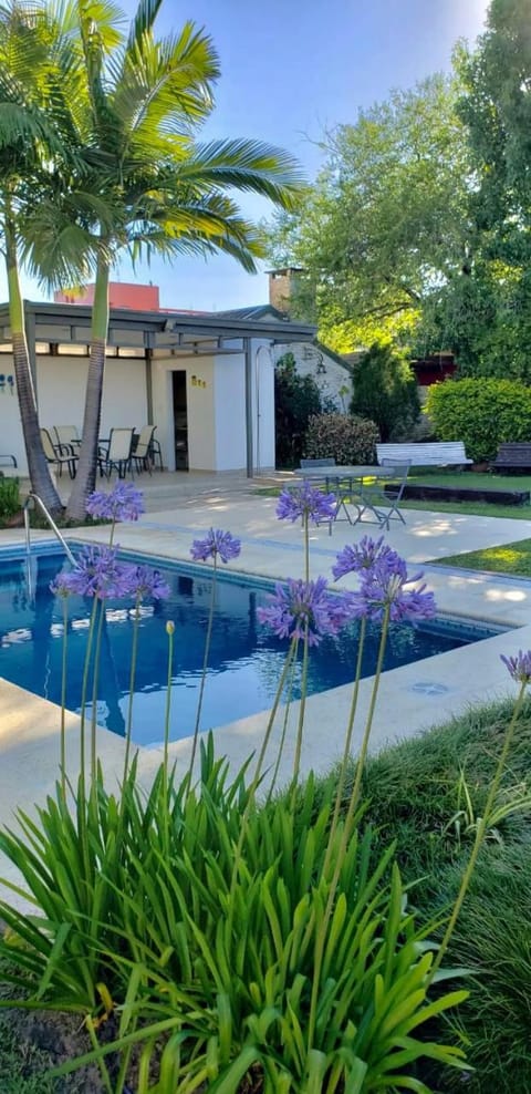 Swimming pool, Open Air Bath