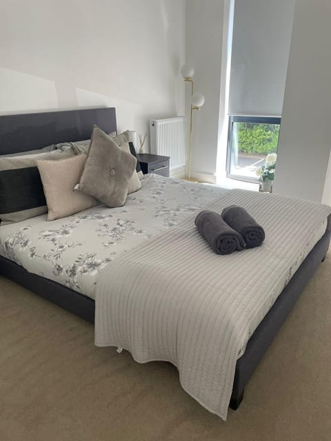 Brand new luxury apartment with free parking and gym Apartment in Shirley