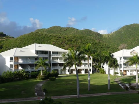 Property building, Natural landscape, Garden, Mountain view