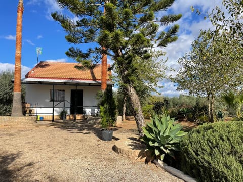 El Paraíso del Olivar House in Costa de la Luz