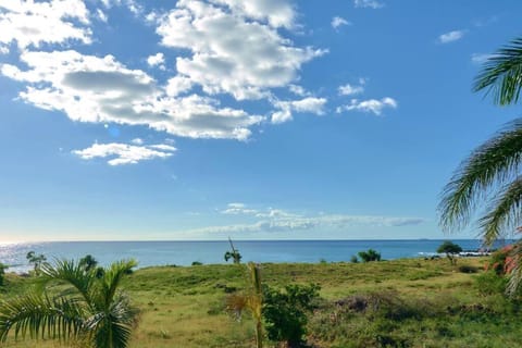 Côte Ouest - VUE IMPRENABLE SUR LA MER - VILLA BELIFAGE BLEUE avec Piscine Privative House in Rivière Noire District, Mauritius