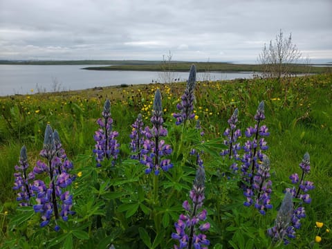 Spring, Day, Natural landscape, Hiking, Sea view