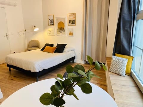 Les studios de Morgane hyper centre Apartment in Valence