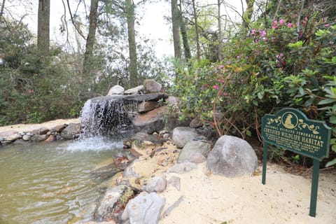 Grotto Waterfall Bethel Oasis 5 bedroom House with 2 masters House in Hampton
