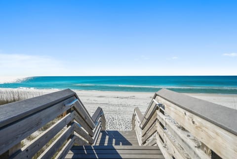 Surfer Dog home House in Inlet Beach