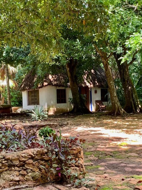 Cabañas Pájaro Azul Bed and Breakfast in State of Yucatan