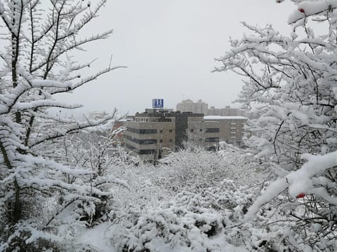 Property building, Natural landscape, Winter