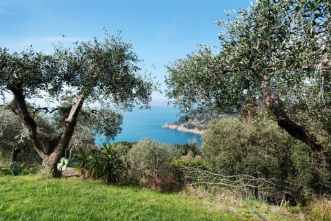 Il Paradiso Sul Mare Condo in Bonassola