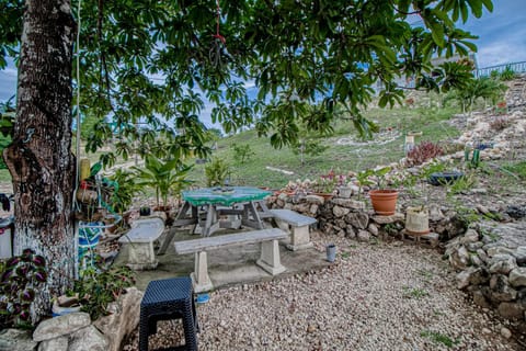 Gavra Cabana at Bella Vue Estate House in Cayo District