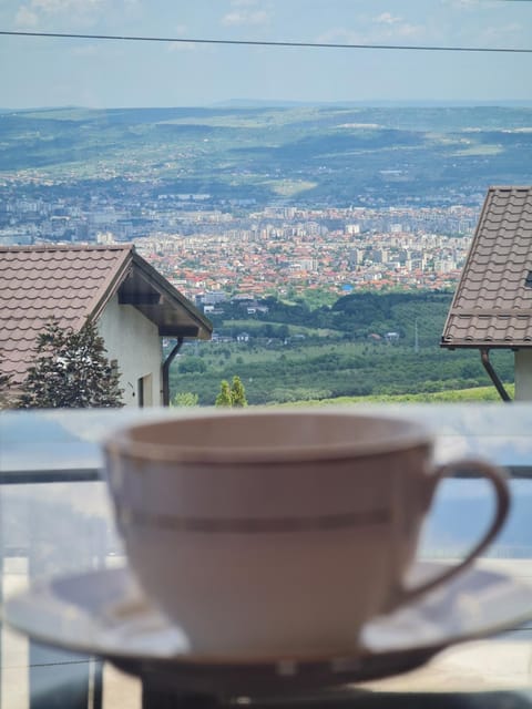 Bird's eye view, View (from property/room), City view