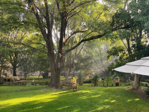 Natural landscape, Garden, Garden view