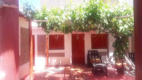 Patio, Day, Garden view