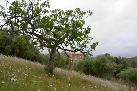 Son Vell. Mallorca. Casa amb piscina ecològica. House in Llevant