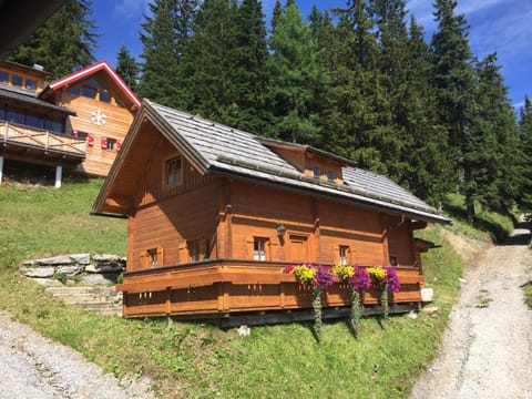 Property building, Summer