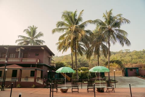 Silent valley nest Bed and Breakfast in Goa, India