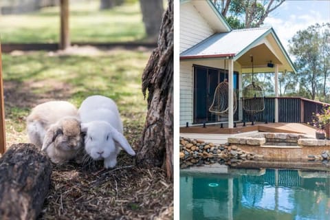 Riverside Ranch - oceanstays House in Yamba