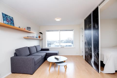 Overlooking the city, bright & cozy - Free Parking (A2) Condo in Reykjavik