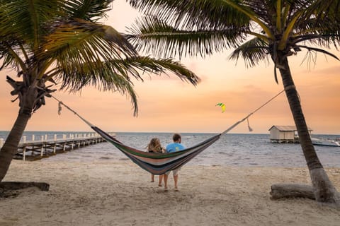 People, Beach, Sea view, Sunset