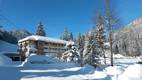 Property building, Day, Winter