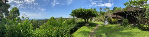 Natural landscape, Garden, View (from property/room), Garden view