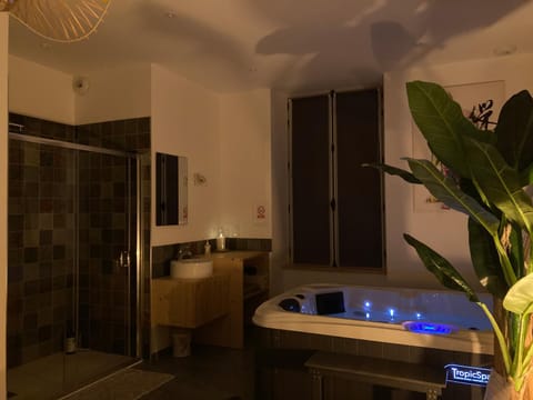 Profitez d'une douce nuit avec jacuzzi Apartment in Fougères