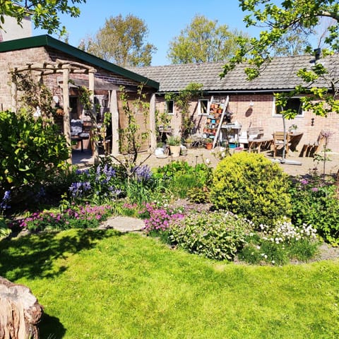 Property building, Spring, Day, Garden, Garden view